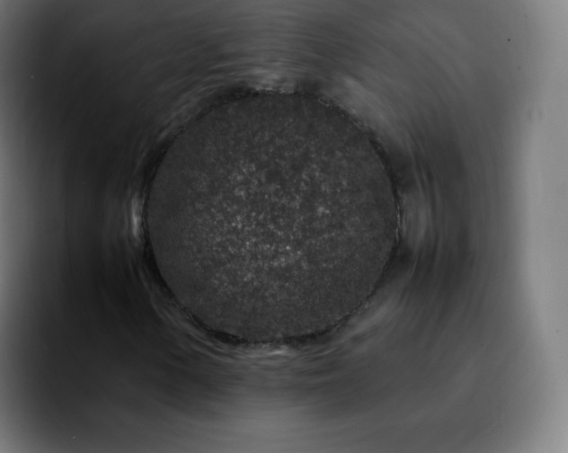 X0000092231154200709211020