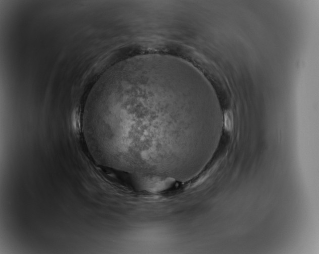 X0000092231155200709211020