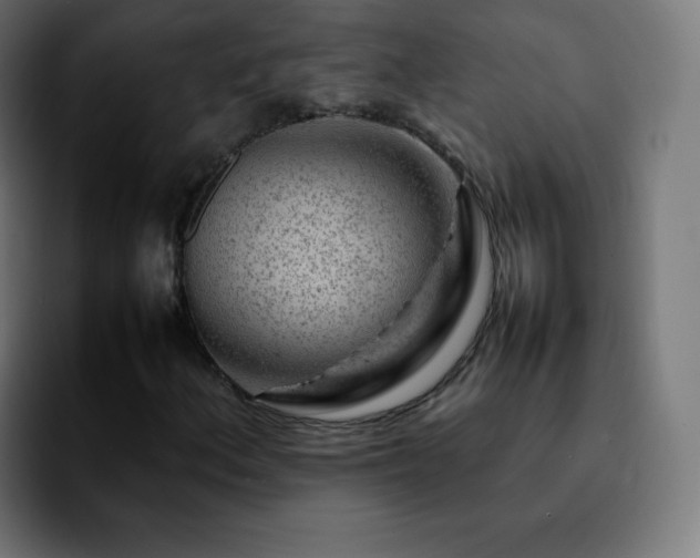 X0000092231156200709211020