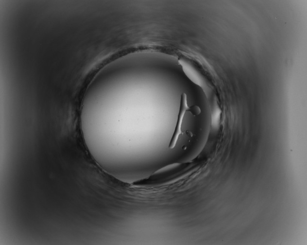 X0000092231160200709211020