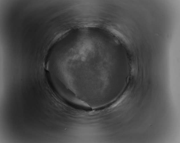 X0000092231161200709211020