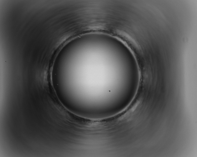 X0000092231162200709211020