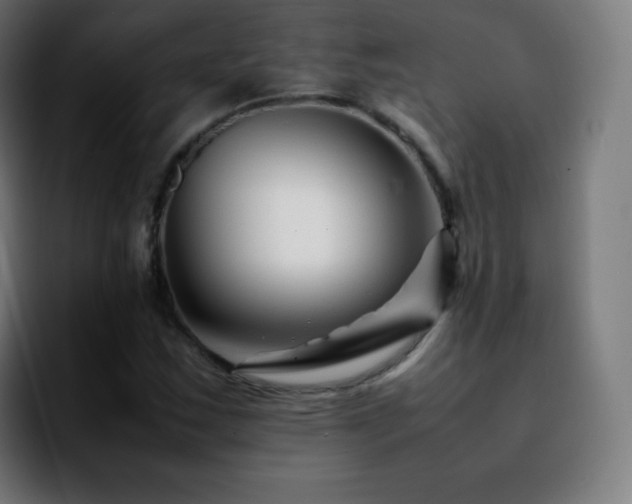 X0000092231163200709211020
