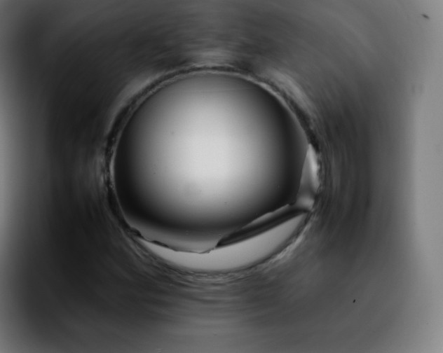 X0000092231164200709211020