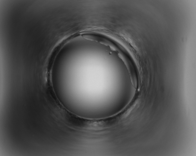 X0000092231165200709211020