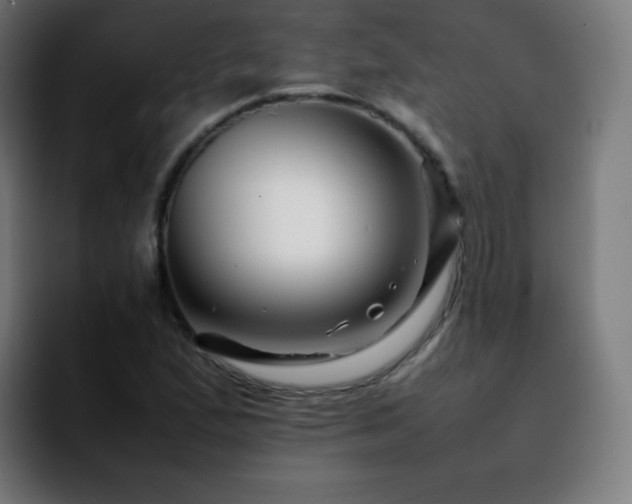 X0000092231167200709211020