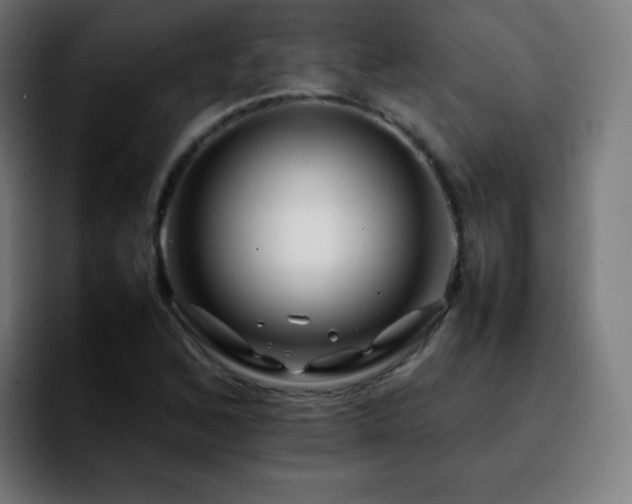 X0000092231168200709211020