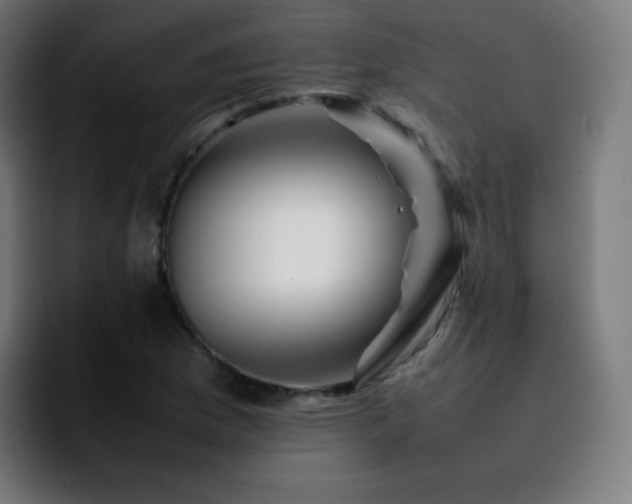X0000092231169200709211020