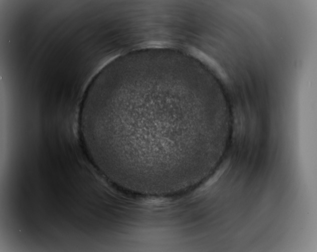 X0000092231170200709211020