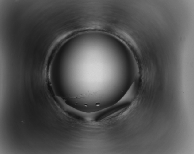X0000092231172200709211020