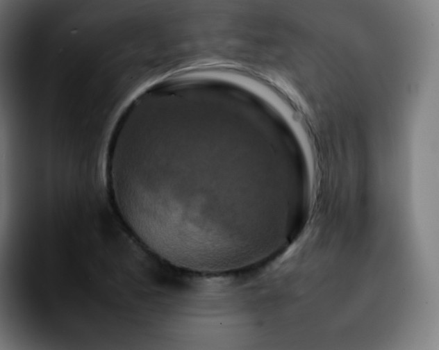 X0000092231173200709211020