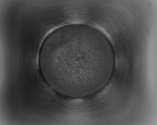 X0000092231174200709211020