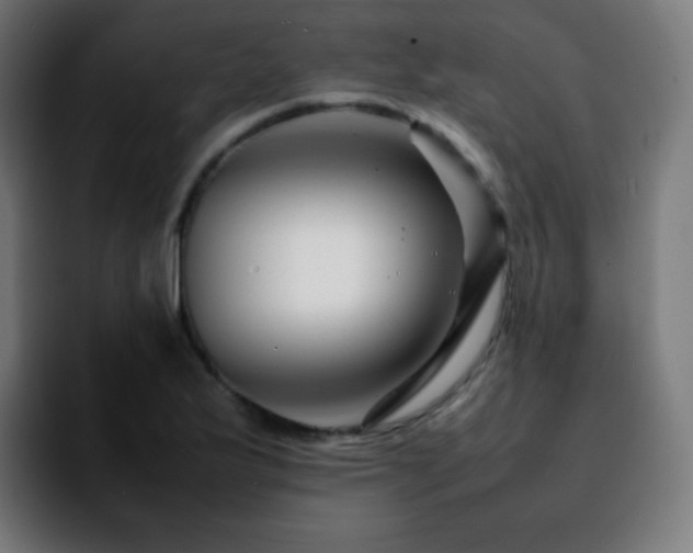 X0000092231175200709211020
