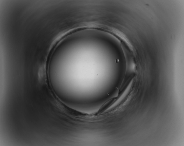 X0000092231176200709211020