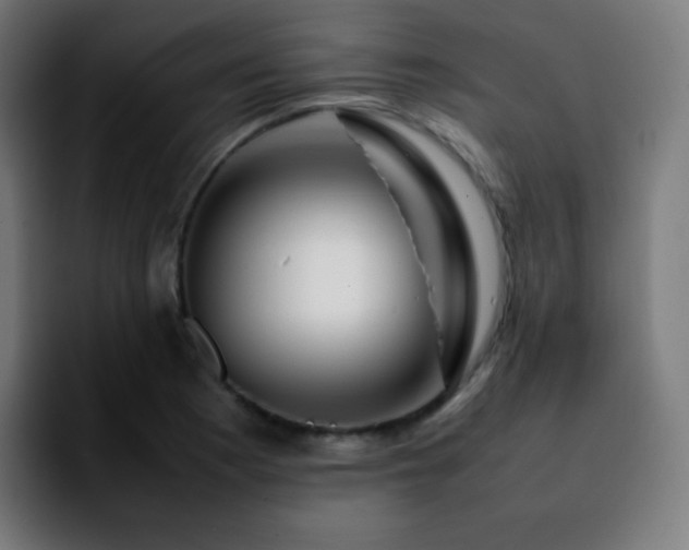 X0000092231177200709211020