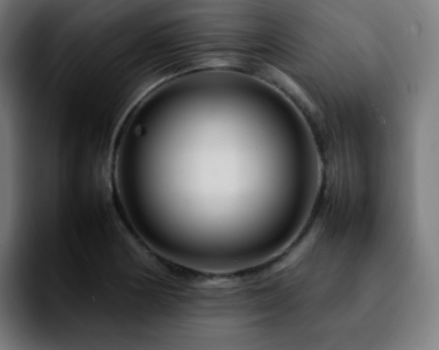 X0000092231178200709211020