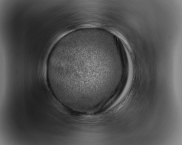X0000092231179200709211020