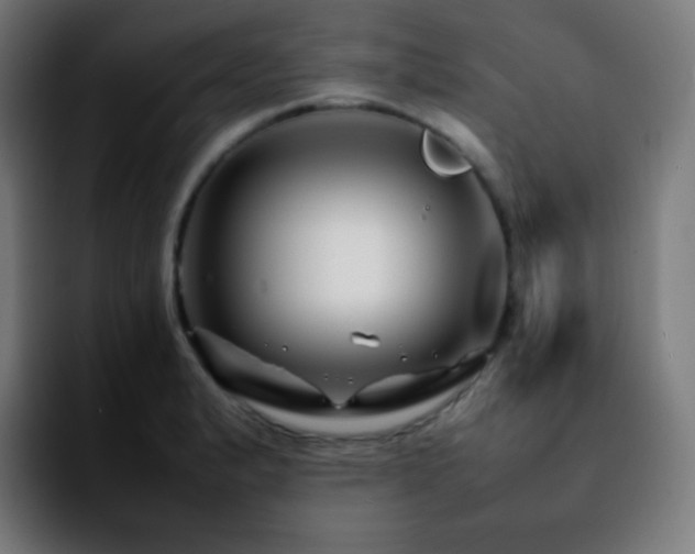 X0000092231183200709211020