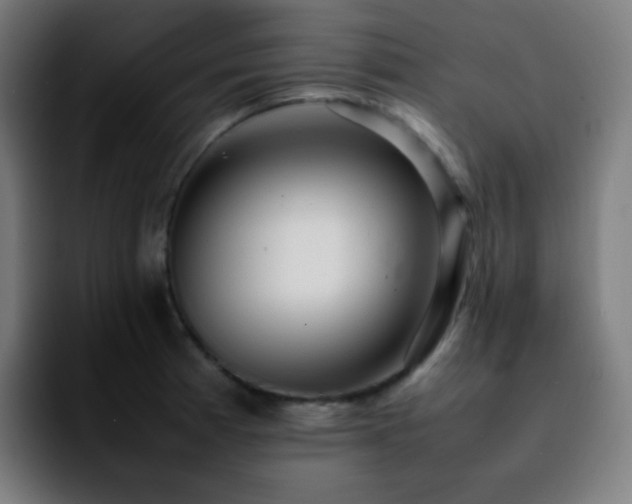 X0000092231185200709211020