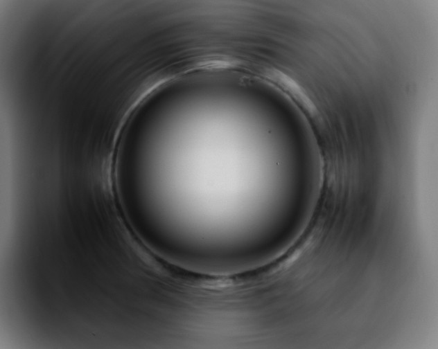 X0000092231186200709211020
