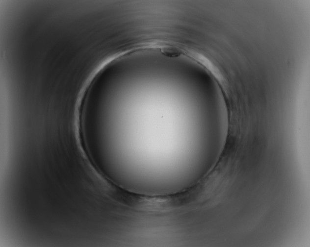 X0000092231187200709211020
