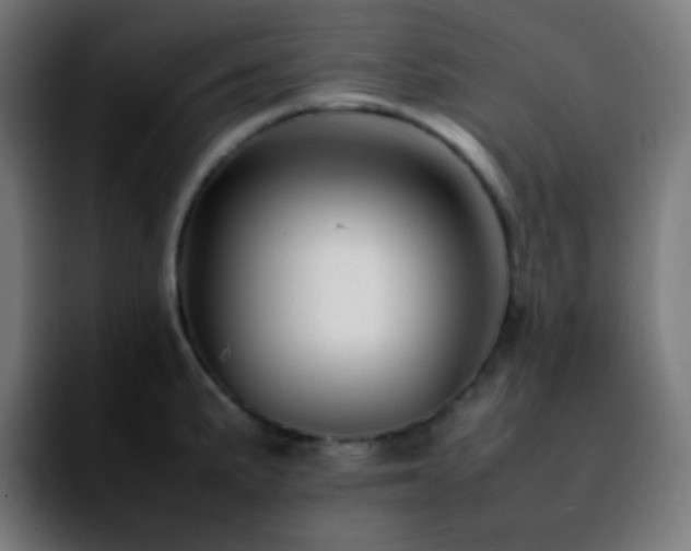 X0000092231191200709211020