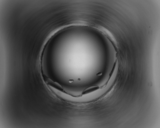 X0000092231192200709211020