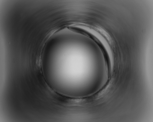 X0000092231193200709211020