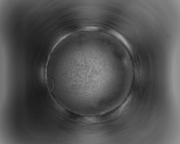 X0000092231194200709211020