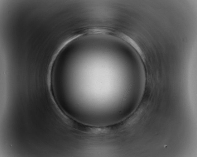 X0000092231195200709211020