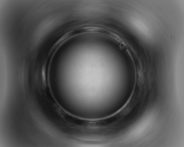 X0000092231198200709211020