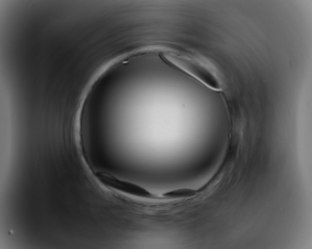 X0000092231199200709211020