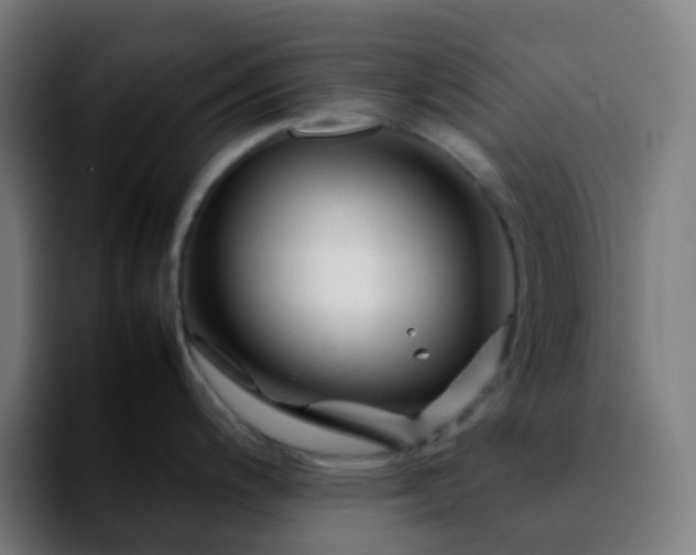 X0000092231200200709211020