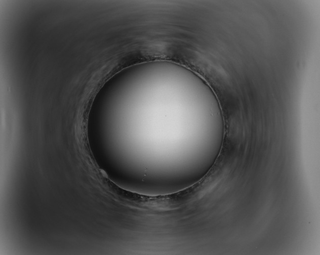 X0000092231201200709211019