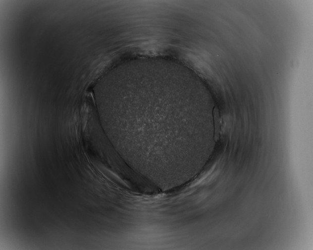 X0000092231202200709211019