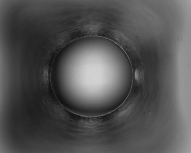 X0000092231203200709211019