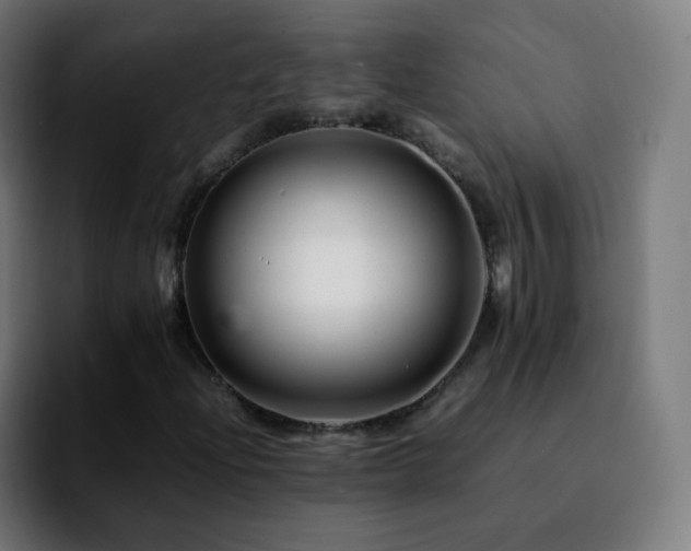 X0000092231204200709211019