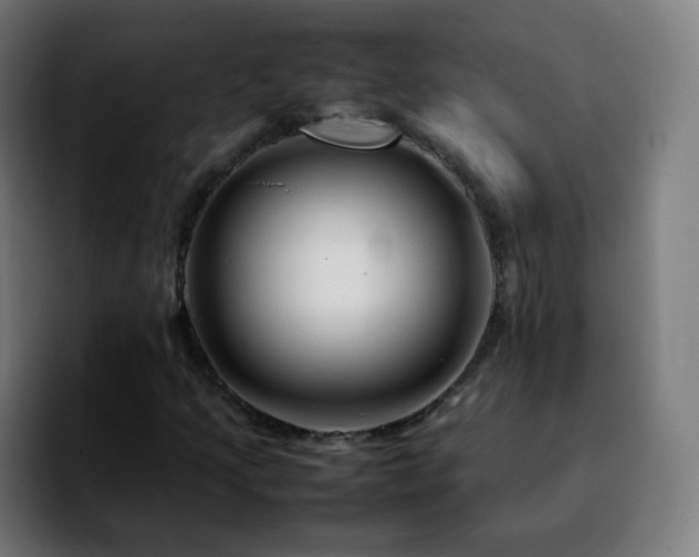 X0000092231205200709211019