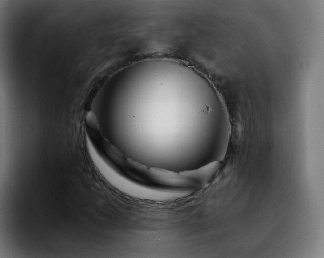 X0000092231206200709211019