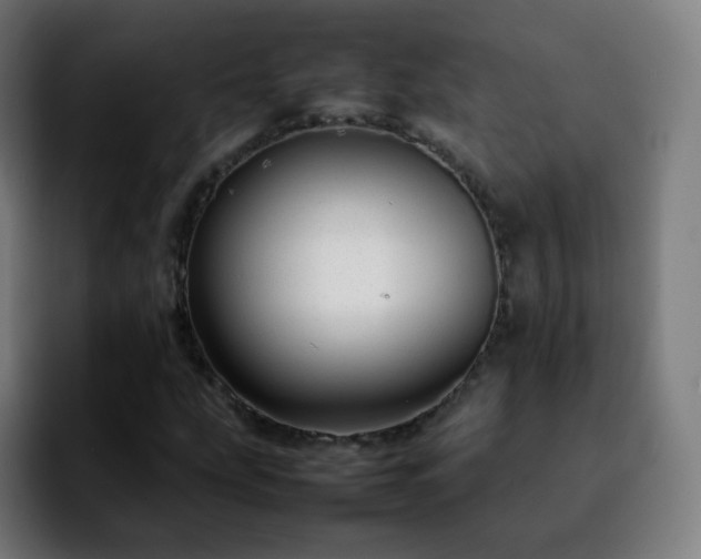 X0000092231207200709211019