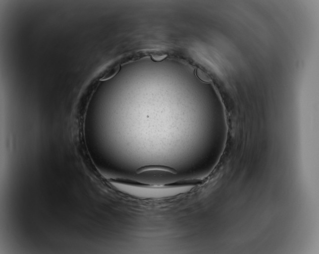 X0000092231208200709211019