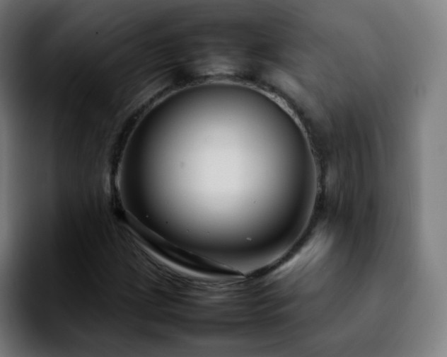 X0000092231209200709211019