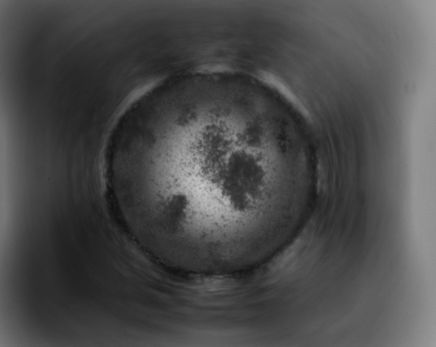 X0000092231213200709211019