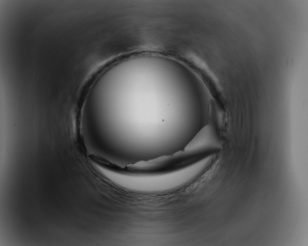 X0000092231214200709211019
