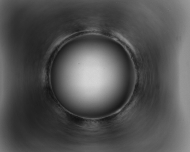 X0000092231215200709211019