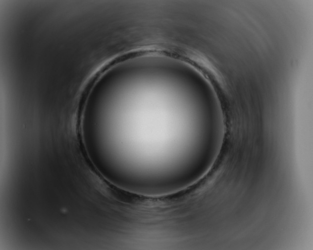 X0000092231216200709211019