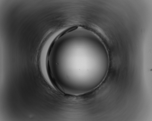 X0000092231218200709211019