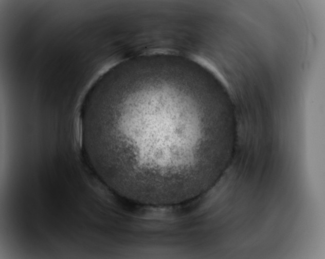 X0000092231219200709211019
