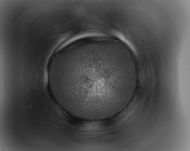 X0000092231221200709211019