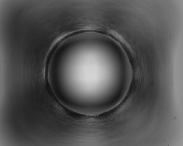 X0000092231222200709211019